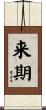 来期 Scroll