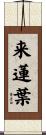 来蓮葉 Scroll