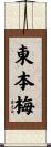 東本梅 Scroll