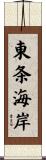 東条海岸 Scroll