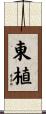東植 Scroll