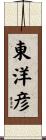 東洋彦 Scroll