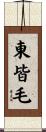 東皆毛 Scroll