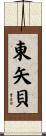 東矢貝 Scroll