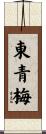 東青梅 Scroll