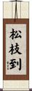 松枝到 Scroll