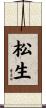 松生 Scroll