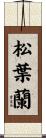 松葉蘭 Scroll