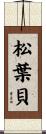 松葉貝 Scroll