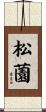 松薗 Scroll