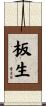 板生 Scroll