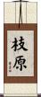 枝原 Scroll