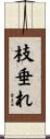 枝垂れ Scroll