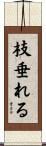 枝垂れる Scroll