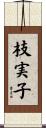 枝実子 Scroll