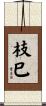枝巳 Scroll