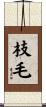 枝毛 Scroll