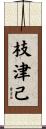 枝津己 Scroll