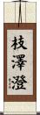 枝澤澄 Scroll