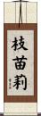 枝苗莉 Scroll