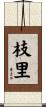 枝里 Scroll