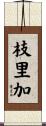 枝里加 Scroll