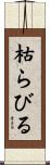 枯らびる Scroll