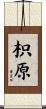 枳原 Scroll