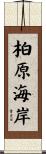 柏原海岸 Scroll