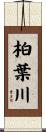 柏葉川 Scroll
