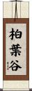 柏葉谷 Scroll