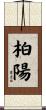 柏陽 Scroll