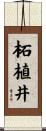 柘植井 Scroll