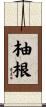 柚根 Scroll