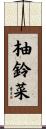 柚鈴菜 Scroll
