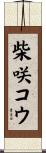 柴咲コウ Scroll