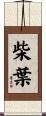 柴葉 Scroll