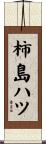 柿島ハツ Scroll