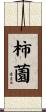 柿薗 Scroll
