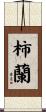 柿蘭 Scroll