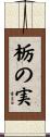 栃の実 Scroll