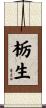 栃生 Scroll