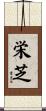 栄芝 Scroll