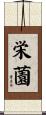 栄薗 Scroll