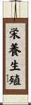 栄養生殖 Scroll