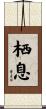 栖息 Scroll