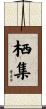 栖集 Scroll