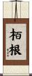 栢根 Scroll