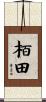 栢田 Scroll
