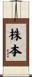 株本 Scroll
